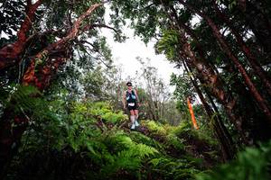 BIB: 
                            <button type="button" onclick="openModal(26202867)" class="btn btn-primary btn-sm float-right btn-popup" data-toggle="modal" data-target=".modal-high-quality">
                        <i class="fas fa-shopping-cart"></i> Add to Cart
                    </button>
                                            <button type="button" onclick="isThisMe(26202867, true)" class="btn btn-success btn-sm float-right btn-popup btn-isme hidden" data-toggle="tooltip" data-placement="bottom" title="นี่คือรูปของคุณใช่ไหม คลิกที่นี่เพื่อเอาเข้าอัลบั้ม">
                        <i class="fas fa-plus"></i> Add to album
                    </button>
                    <button type="button" onclick="isThisMe(26202867, false)" class="btn btn-warning btn-sm float-right btn-popup btn-isnotme hidden">
                        <i class="fas fa-ban"></i> Remove from album
                    </button>